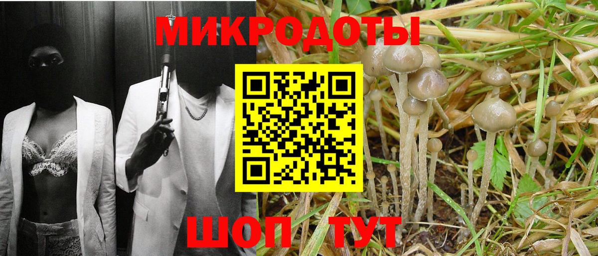 Псилоцибиновые грибы Cubensis Мичуринск